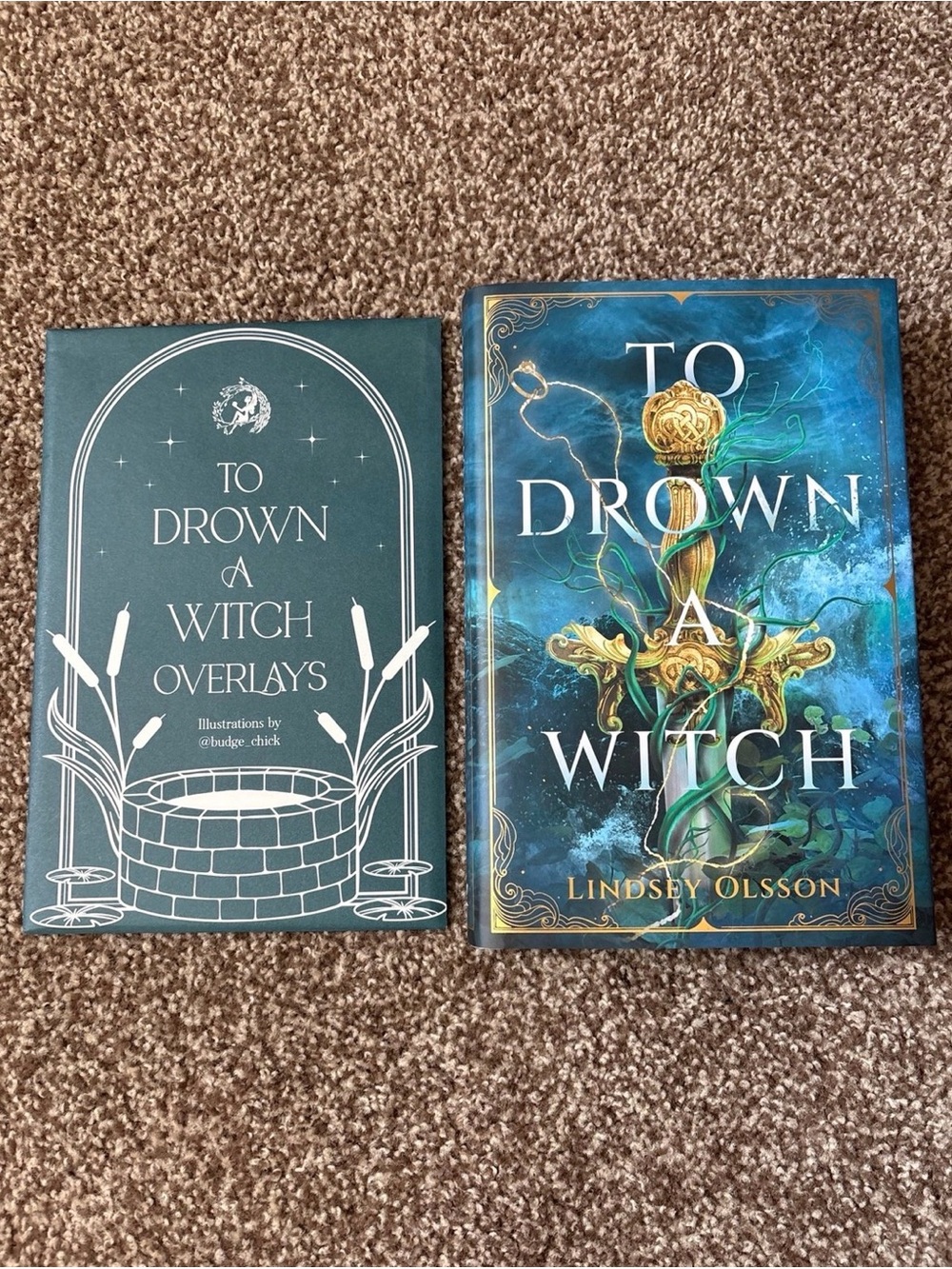 fairyloot to drown a witch by lindsey olsson + overlays